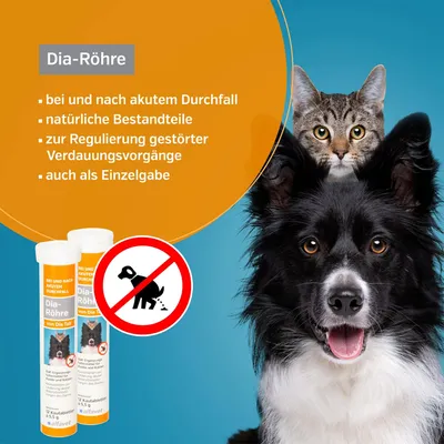 Alfavet Dia-Röhre Alfavet Dia-Röhre