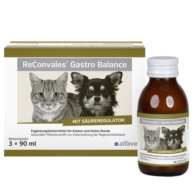 Alfavet ReConvales Gastro Balance