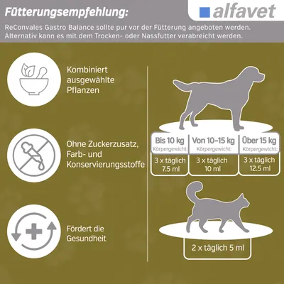 Alfavet ReConvales Gastro Balance