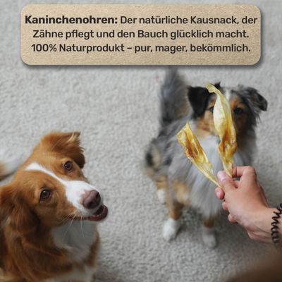 Kaninchenohren ohne Fell für Hunde - Monoprotein Kauartikel, naturbelassen
