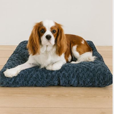 Yommy Liegematte für Hunde und Katzen