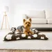 Yommy Haustierbett, Wolkendesign