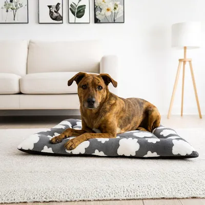 Yommy Haustierbett, Wolkendesign