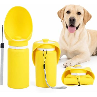 Bouteille pliable 550 ml silicone alimentaire sans fuite