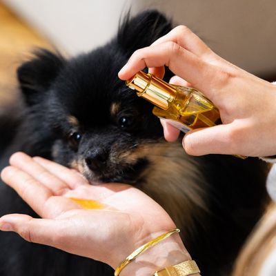 Fur Love Huile de soin naturelle pour chien