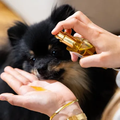 Fur Love Huile de soin naturelle pour chien