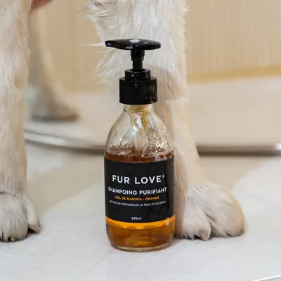 Fur Love Shampoing naturel au miel de Manuka pour chien Fur Love Shampoing naturel au miel de Manuka pour chien