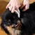 Fur Love Eau micellaire sans rinçage pour chien Fur Love Eau micellaire sans rinçage pour chien