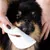 Fur Love Eau micellaire sans rinçage pour chien Fur Love Eau micellaire sans rinçage pour chien