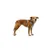 RUFFWEAR Hundegeschirr Front Range Flex RUFFWEAR Hundegeschirr Front Range Flex