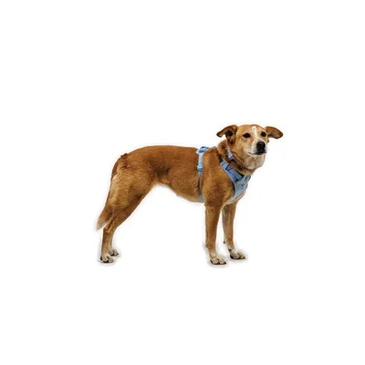 RUFFWEAR Hundegeschirr Front Range Flex RUFFWEAR Hundegeschirr Front Range Flex