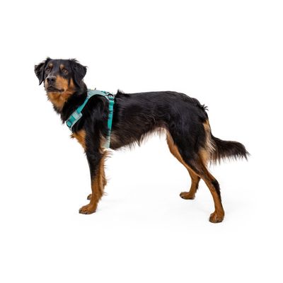 RUFFWEAR Hundegeschirr Hi & Light™