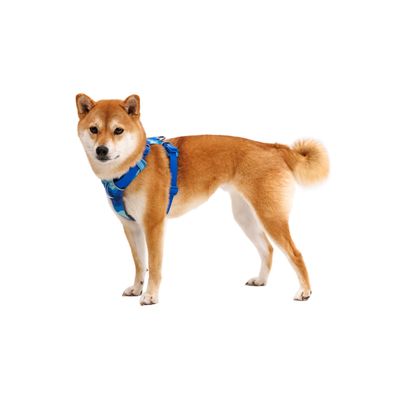 RUFFWEAR Hundegeschirr Front Range™