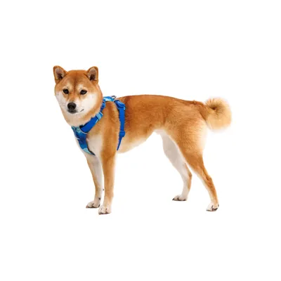 RUFFWEAR Hundegeschirr Front Range™ RUFFWEAR Hundegeschirr Front Range™