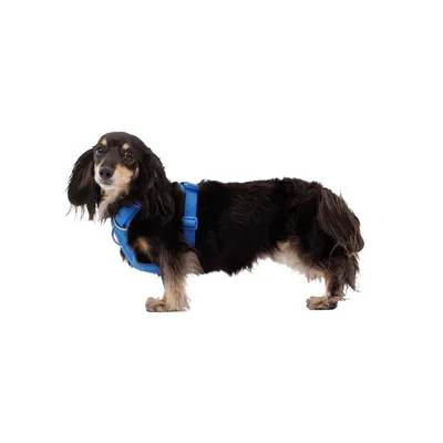 RUFFWEAR Hundegeschirr Front Range™ RUFFWEAR Hundegeschirr Front Range™