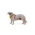 RUFFWEAR Hundegeschirr Hi & Light™ RUFFWEAR Hundegeschirr Hi & Light™