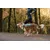 RUFFWEAR® Hundegeschirr Web Master™ RUFFWEAR® Hundegeschirr Web Master™