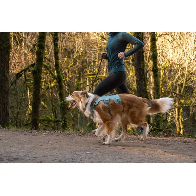 RUFFWEAR® Hundegeschirr Web Master™ RUFFWEAR® Hundegeschirr Web Master™