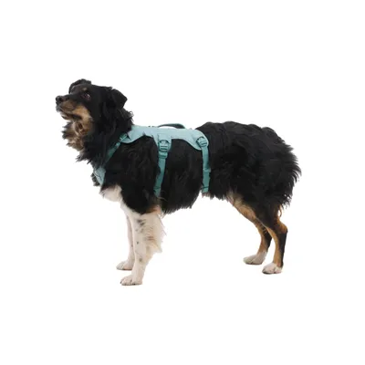 RUFFWEAR® Hundegeschirr Web Master™ RUFFWEAR® Hundegeschirr Web Master™