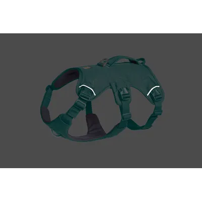 Ruffwear Hundegeschirr Web Master Harness River Rock Green