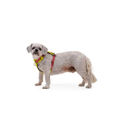 RUFFWEAR Hundegeschirr Hi & Light™ RUFFWEAR Hundegeschirr Hi & Light™