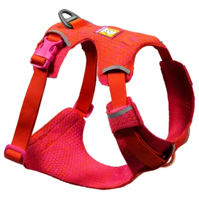 Ruffwear Hundegeschirr Front Range® Flex Harness Rose Violet