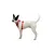RUFFWEAR Hundegeschirr Front Range Flex
