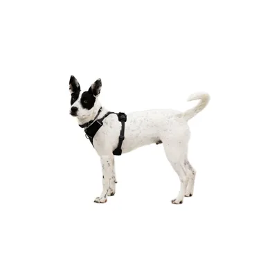 RUFFWEAR Hundegeschirr Front Range Flex RUFFWEAR Hundegeschirr Front Range Flex