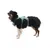 RUFFWEAR® Hundegeschirr Web Master™ RUFFWEAR® Hundegeschirr Web Master™