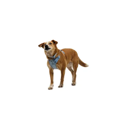 RUFFWEAR Hundegeschirr Front Range Flex RUFFWEAR Hundegeschirr Front Range Flex