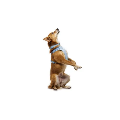 RUFFWEAR Hundegeschirr Front Range Flex RUFFWEAR Hundegeschirr Front Range Flex