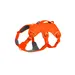 RUFFWEAR® Hundegeschirr Web Master™