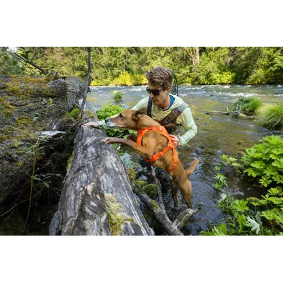 RUFFWEAR® Hundegeschirr Web Master™ RUFFWEAR® Hundegeschirr Web Master™