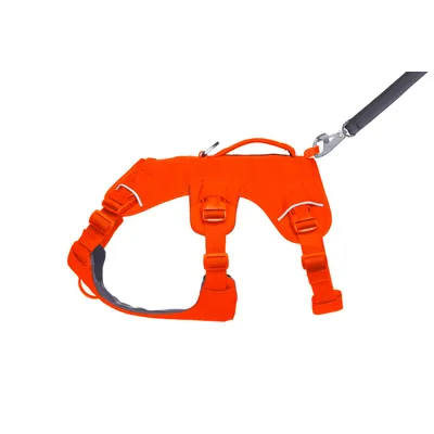 RUFFWEAR® Hundegeschirr Web Master™ RUFFWEAR® Hundegeschirr Web Master™