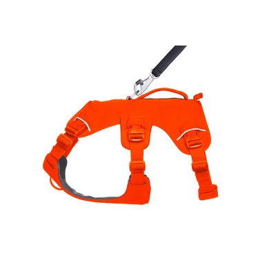 RUFFWEAR® Hundegeschirr Web Master™ RUFFWEAR® Hundegeschirr Web Master™