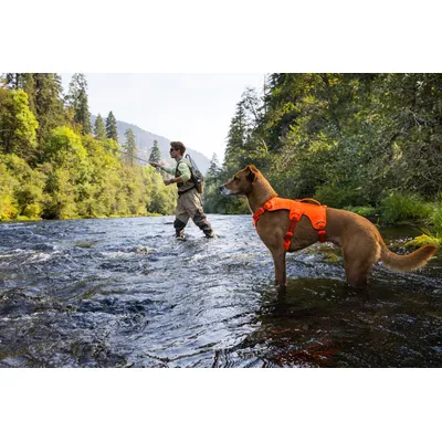 RUFFWEAR® Hundegeschirr Web Master™ RUFFWEAR® Hundegeschirr Web Master™