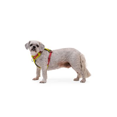RUFFWEAR Hundegeschirr Hi & Light™