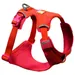 Ruffwear Hundegeschirr Front Range® Flex Harness Rose Violet