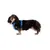 RUFFWEAR Hundegeschirr Front Range™ RUFFWEAR Hundegeschirr Front Range™