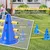 Zatte Kit agility chien 6 pcs, 6 haies, 12 plots, sac Zatte Kit agility chien 6 pcs, 6 haies, 12 plots, sac