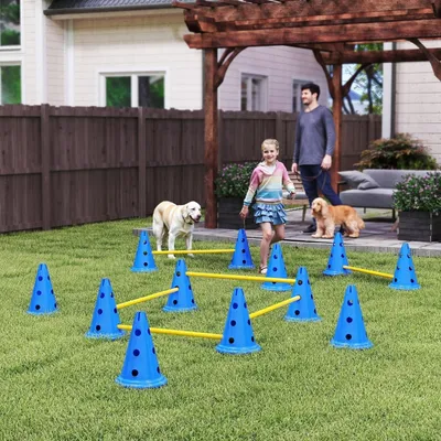 Zatte Kit agility chien 6 pcs, 6 haies, 12 plots, sac Zatte Kit agility chien 6 pcs, 6 haies, 12 plots, sac