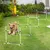 Zatte Kit haies agility 4 haies + slalom, plastique, blanc Zatte Kit haies agility 4 haies + slalom, plastique, blanc