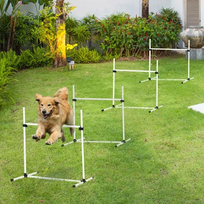 Zatte Kit haies agility 4 haies + slalom, plastique, blanc Zatte Kit haies agility 4 haies + slalom, plastique, blanc