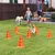 Zatte Kit agility chien 3 pcs, 3 haies, 6 plots, sac Zatte Kit agility chien 3 pcs, 3 haies, 6 plots, sac