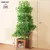 Zatte Arbre à chat forme arbre 190 cm, 4 plateformes, feuilles amovibles Zatte Arbre à chat forme arbre 190 cm, 4 plateformes, feuilles amovibles