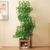 190 cm; Forme arbre; Feuilles amovibles