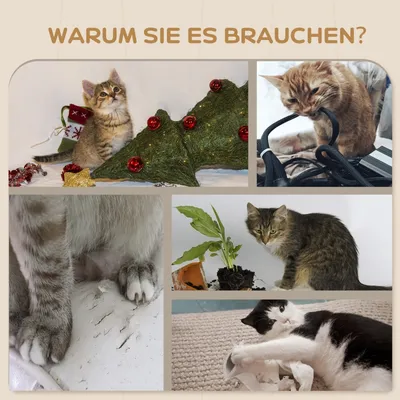 Zatte Mur chat 4 pcs, échelle, hamac, jusqu'à 5 kg Zatte Mur chat 4 pcs, échelle, hamac, jusqu'à 5 kg