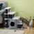 Zatte Marche chat 3/4 marches, cabane, peluche, balle Zatte Marche chat 3/4 marches, cabane, peluche, balle