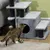 Zatte Marche chat 3/4 marches, cabane, peluche, balle Zatte Marche chat 3/4 marches, cabane, peluche, balle