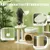 Zatte Arbre à chat 79 cm, cabane, lit, sisal, 5 kg, crème Zatte Arbre à chat 79 cm, cabane, lit, sisal, 5 kg, crème